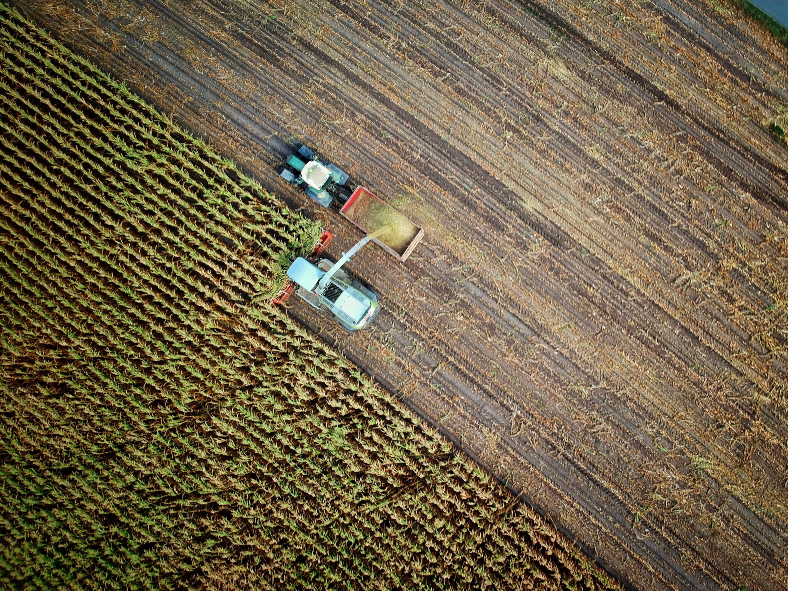 Top View of a Farmer On a Tractor Harvesting